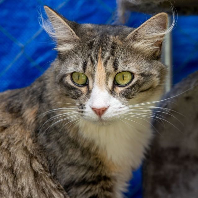 Photo of Freya