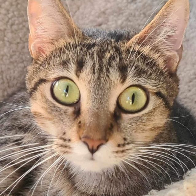 Photo of Gabriella