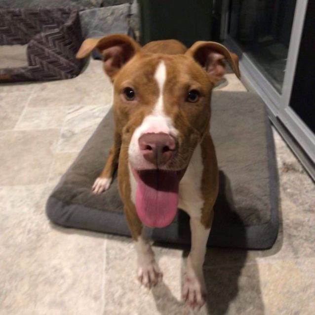 Photo of Sadie