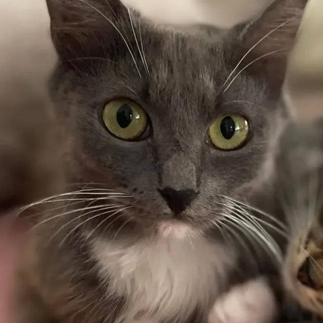 Photo of Haven (Located In South Morang)