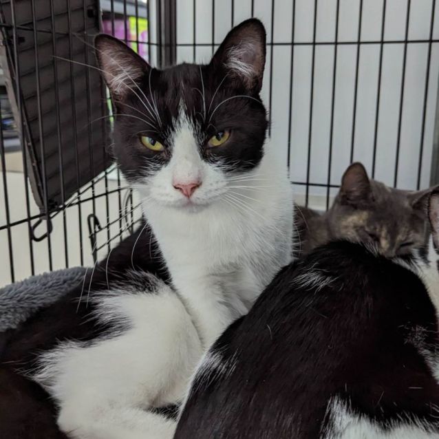 Photo of Bruno & Felicity