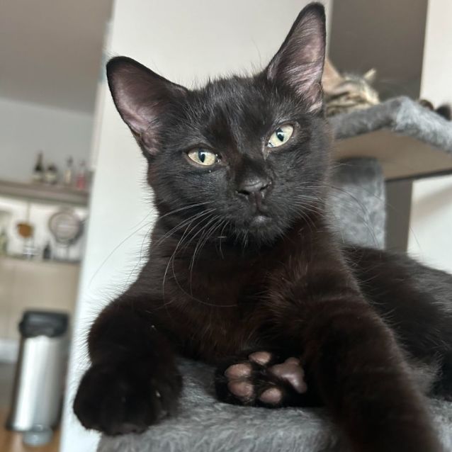 Photo of Neo