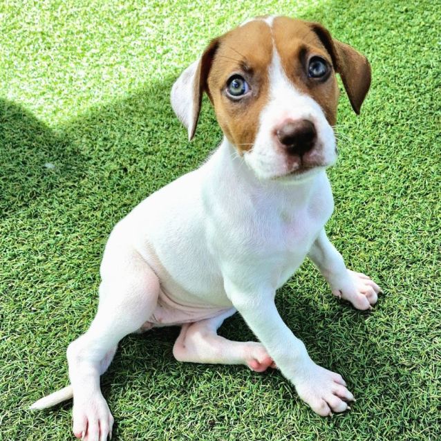 Photo of D957 Alaska