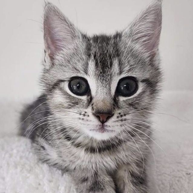 Photo of Hallie ❤️🌹