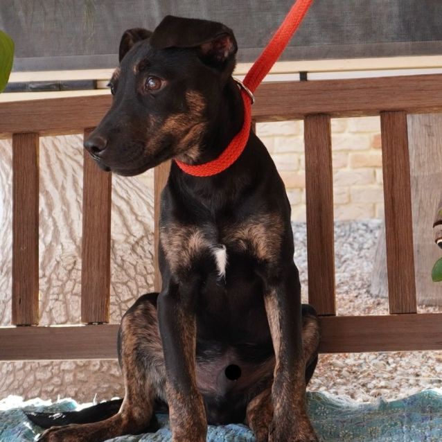 Photo of Elwood
