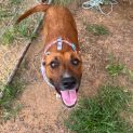 Photo of Bon Bon