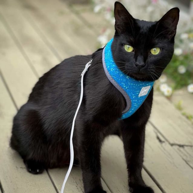 Photo of Tilly