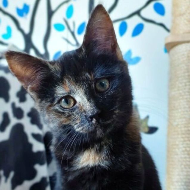 Photo of Kylie Minogue