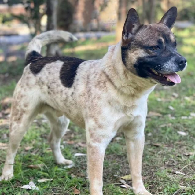 Photo of Chase