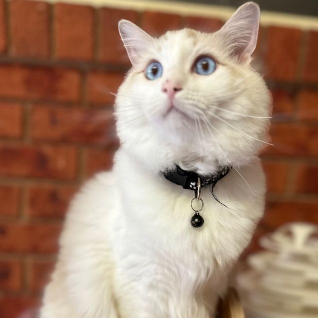 Photo of Sushi Sushi