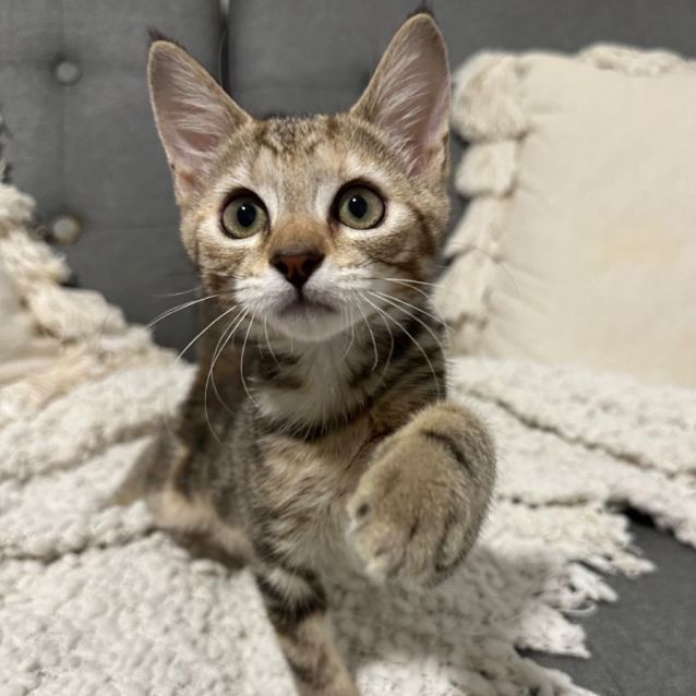 Photo of Elsie 🦋💕