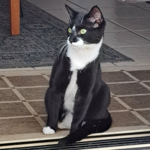 Billy