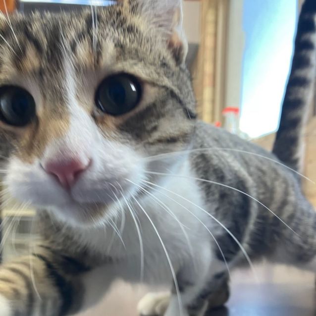 Photo of Percy