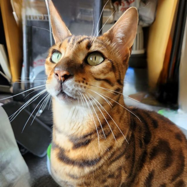Photo of Jasper