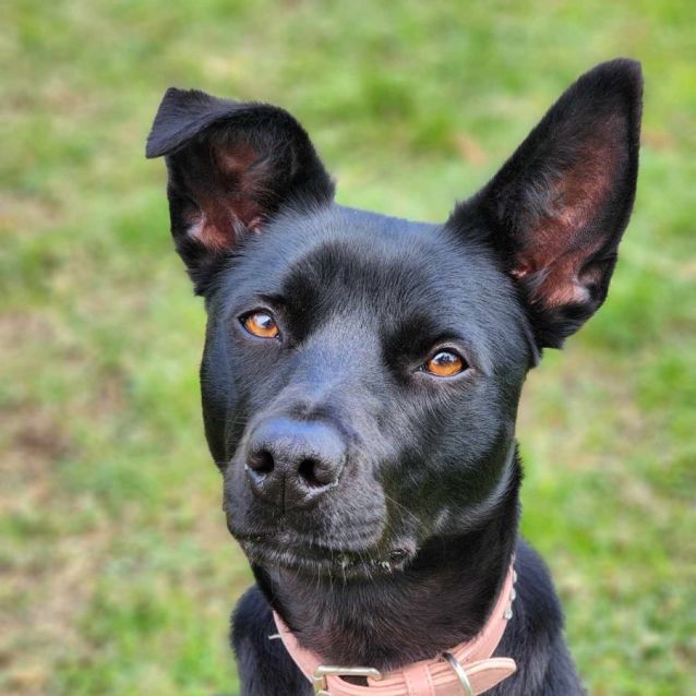 Photo of 🌀 River 5093 🌀