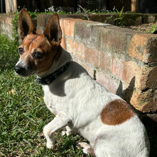 Photo of Frank