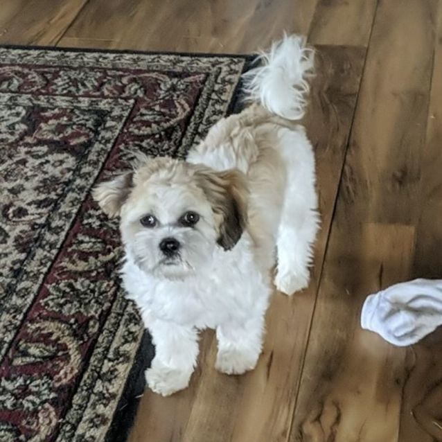 Photo of Sonny