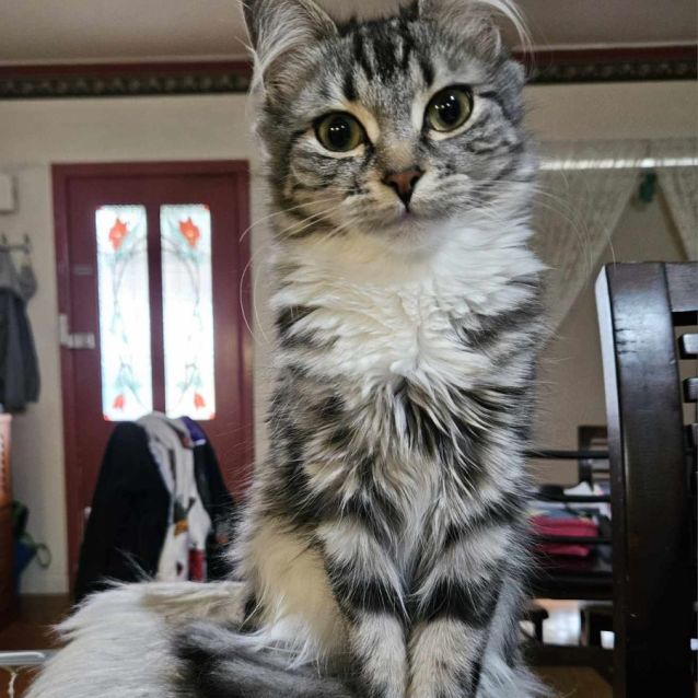 Photo of James Bond And Miss Moneypenny