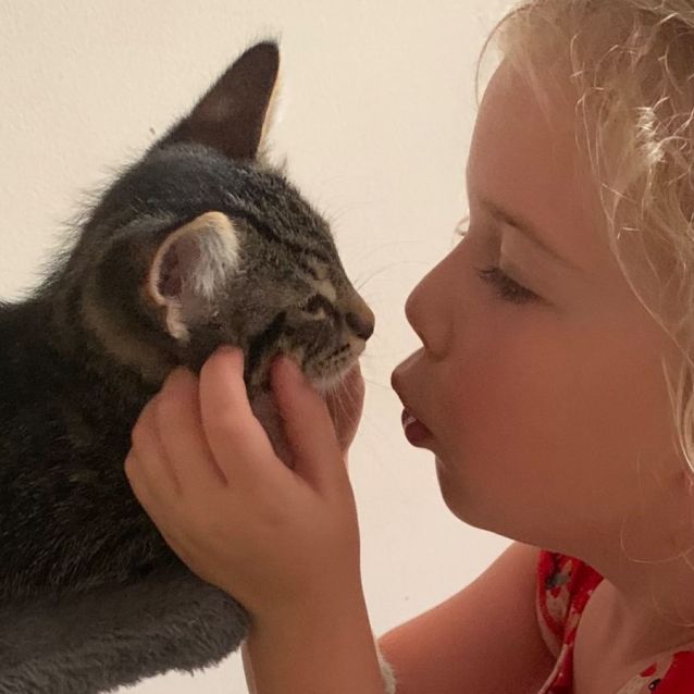 Photo of Billie 💙😺🎄