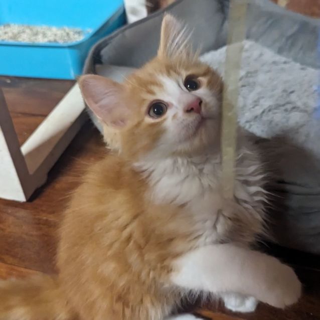 Photo of Bobby