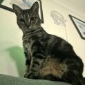 Photo of Lily