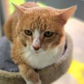Photo of 😸Barry F02556😸