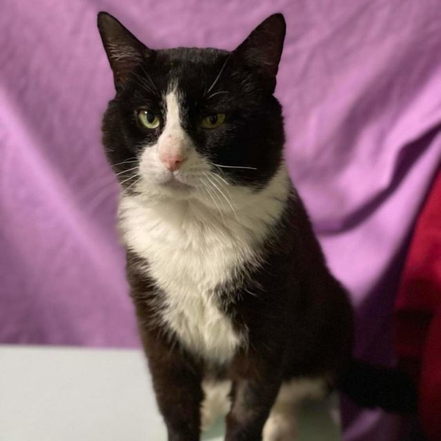 Photo of Lord Norrington Of St Peters