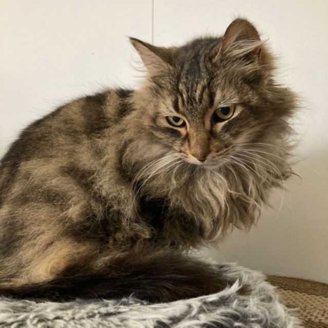Photo of Peggy