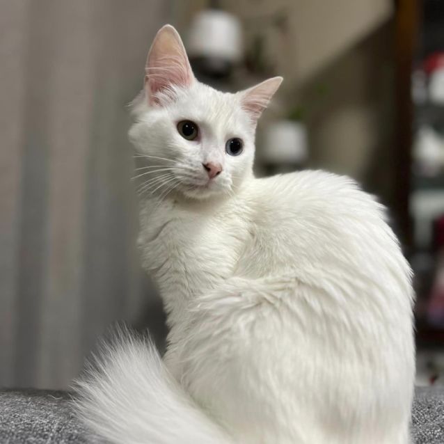 Photo of Miss Mellow