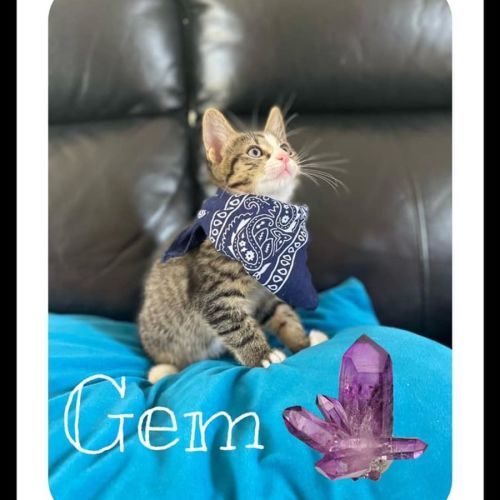 Gem
