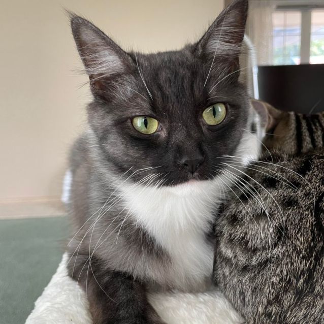 Photo of Bubbles (Located In Edithvale)