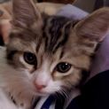Photo of Lilly