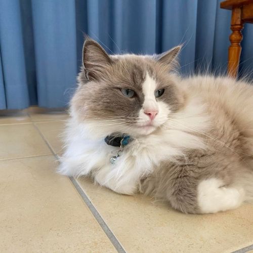 Winter (Winnie)