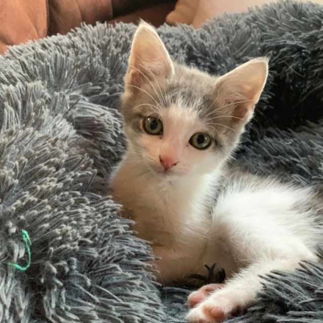 Photo of Dotti 🌺❤️