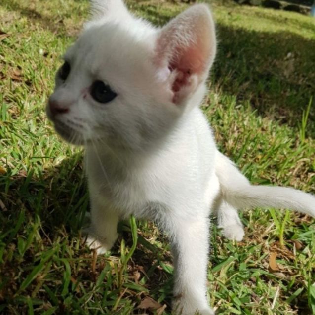 Photo of Arlo