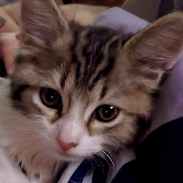 Photo of Lilly