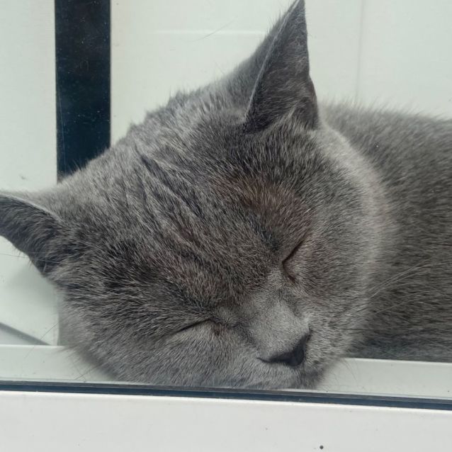 Photo of Betty 🎀💝