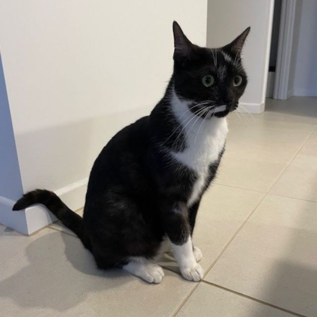 Photo of C1326 Frankie