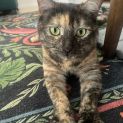 Photo of Lola