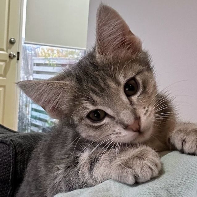 Photo of Ruth & Marie