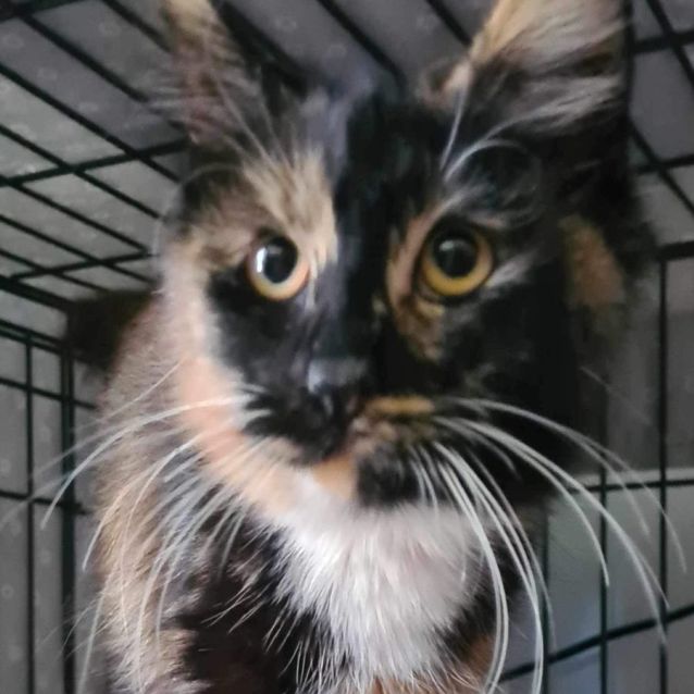 Photo of Molly