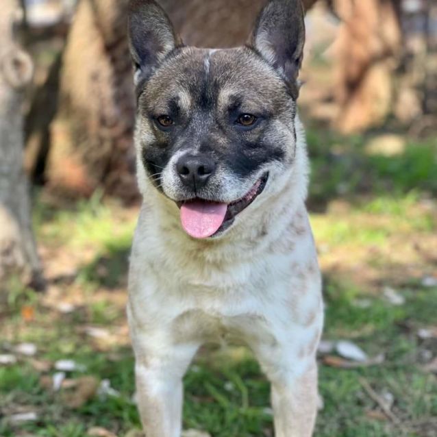 Photo of Chase