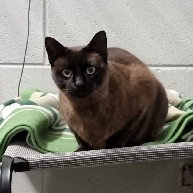 Photo of Oliver