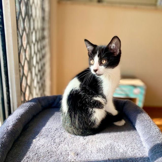 Photo of 🦇Mickey🦇