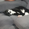 Photo of Storm