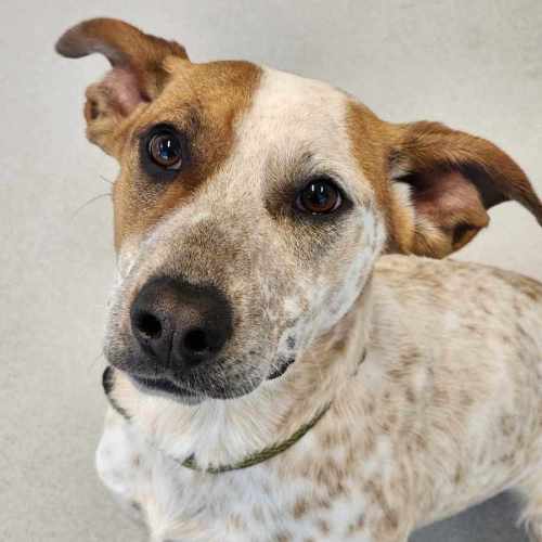 🪐 Leonie 5464 🪐