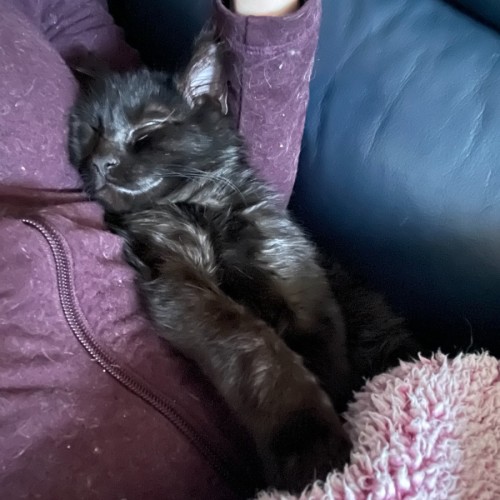 Smudge