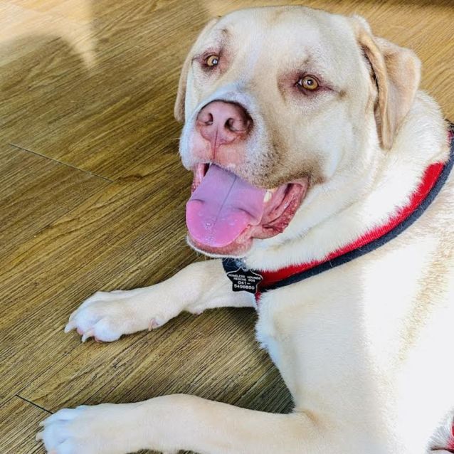 Photo of Gus