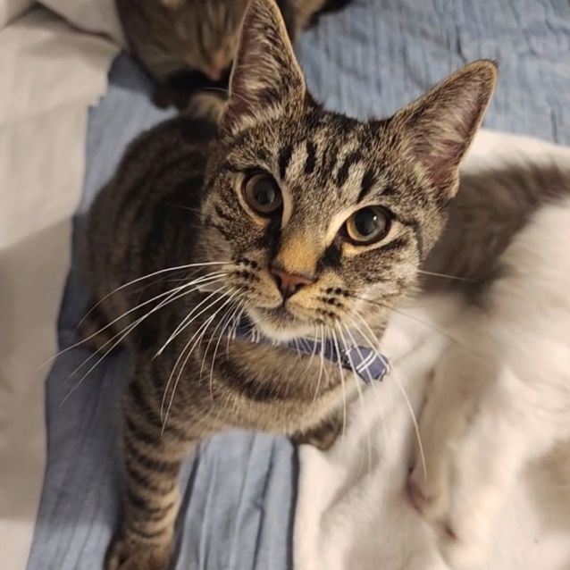 Photo of Humphrey B Bear 🐻 