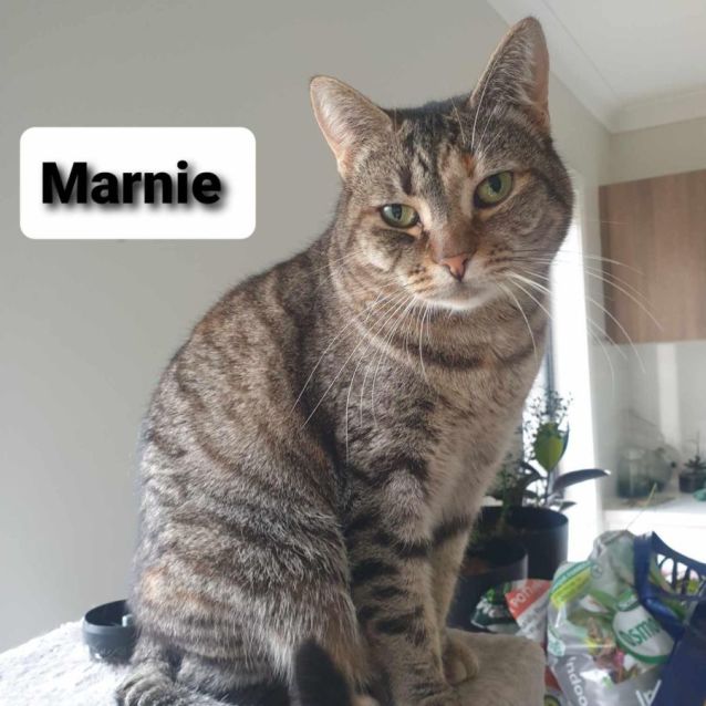 Photo of Marnie